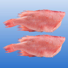 Окунь морской